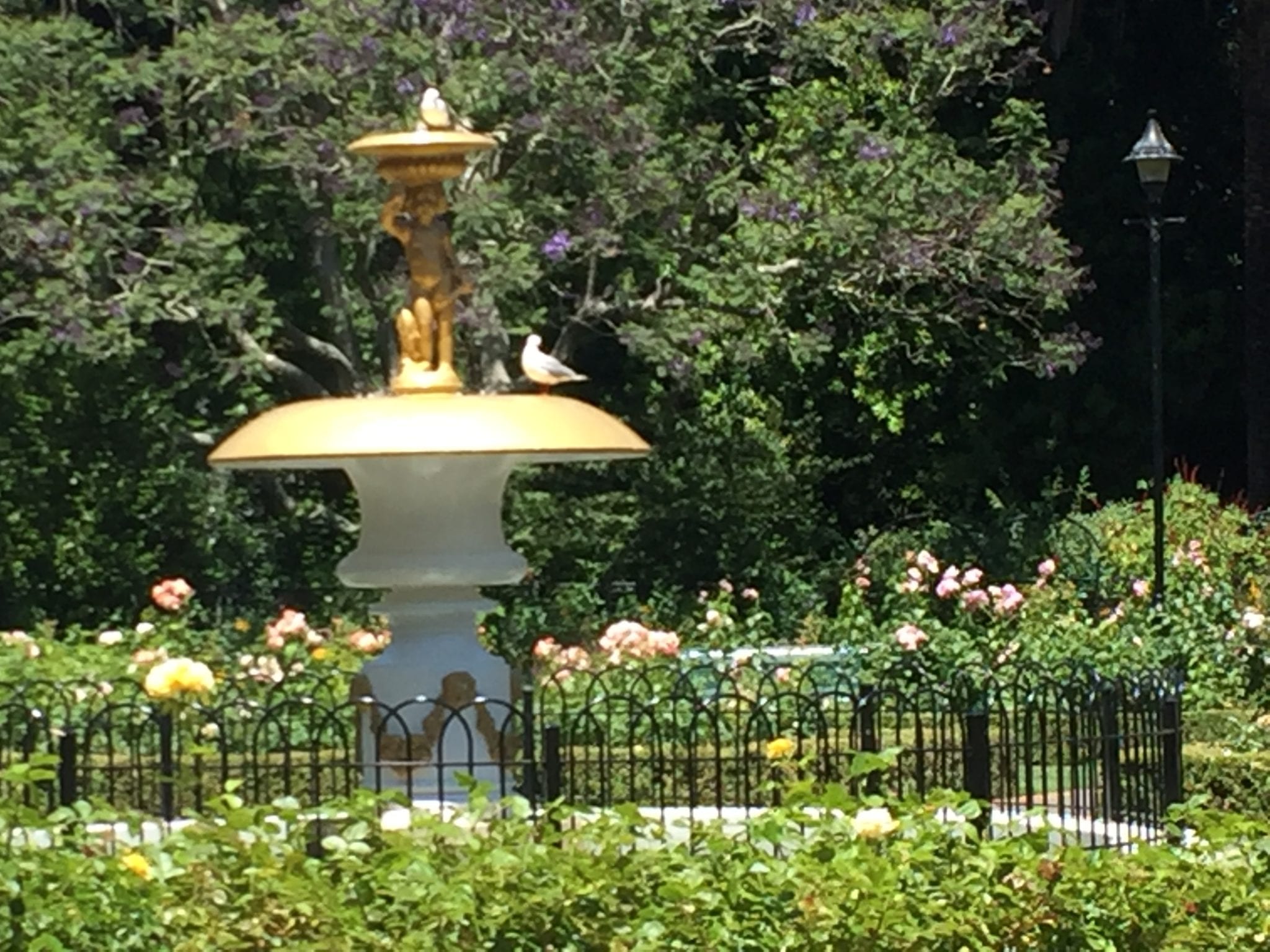 Plein air painting at Queens Gardens Nelson